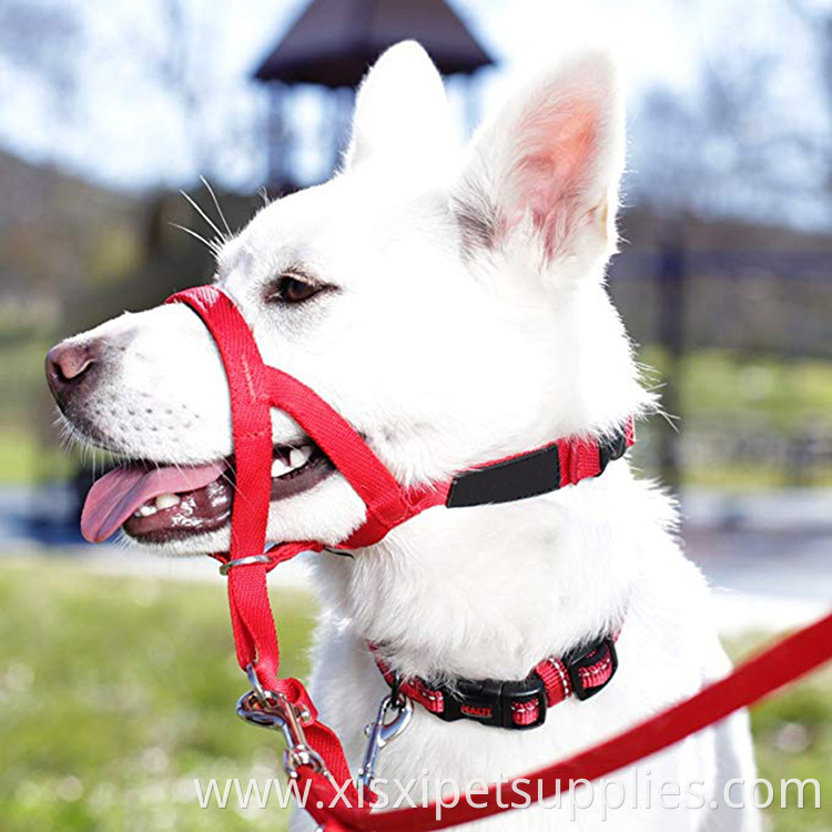 Animals Fit Head Fashion High Quality Collar for Dogs with metal hook